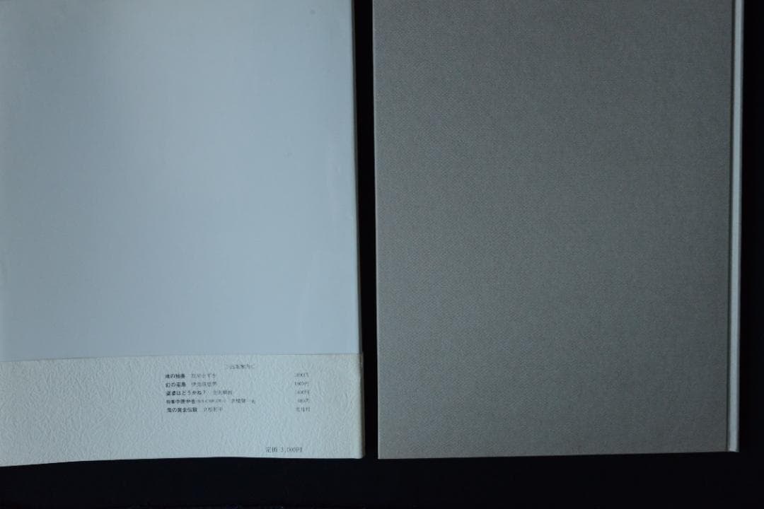 王たちの肖像－浅草寺堺内】鬼海弘雄 帯付 大幅に値下げしました