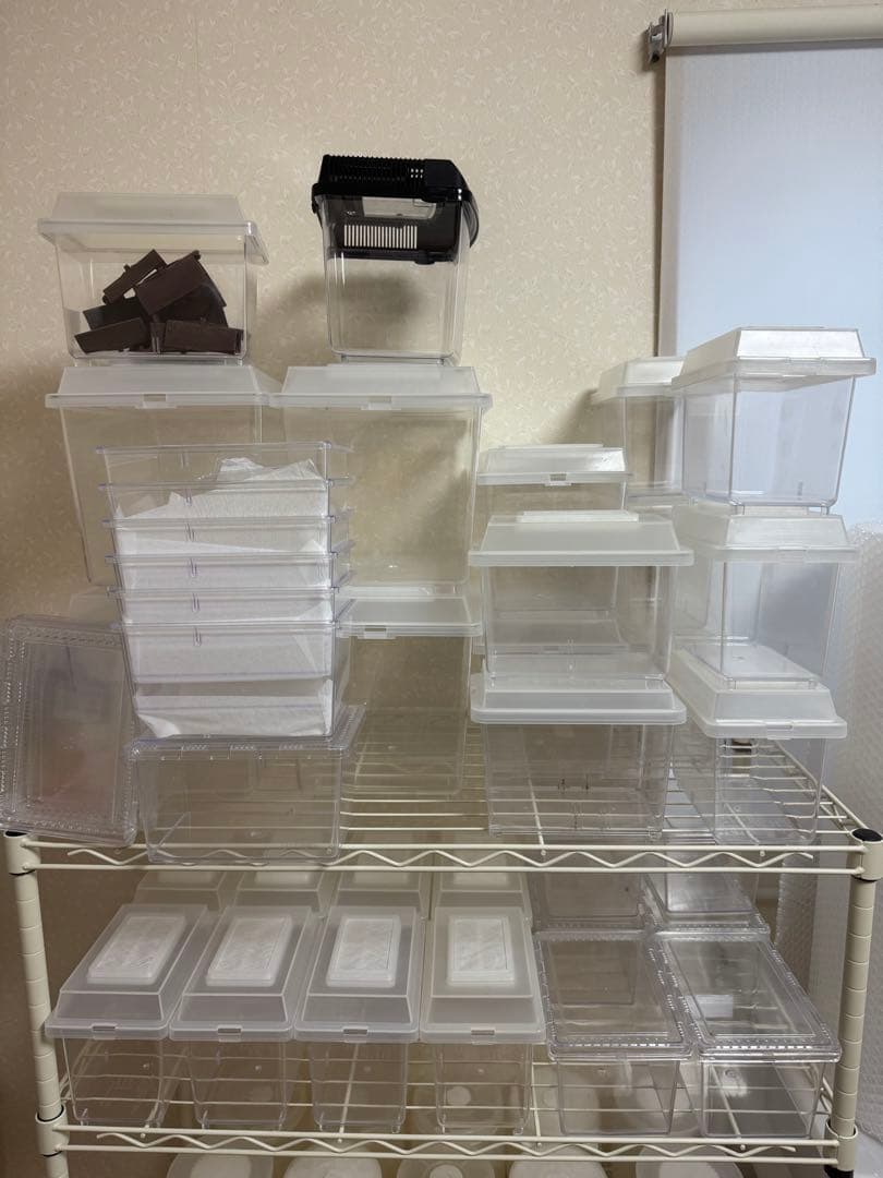 コバエシャッター、クリアスライダー等　39個 新品あり　ゼリー受け皿付き 楽天市場】飼育ケース パーテーションケース コバエシャッター