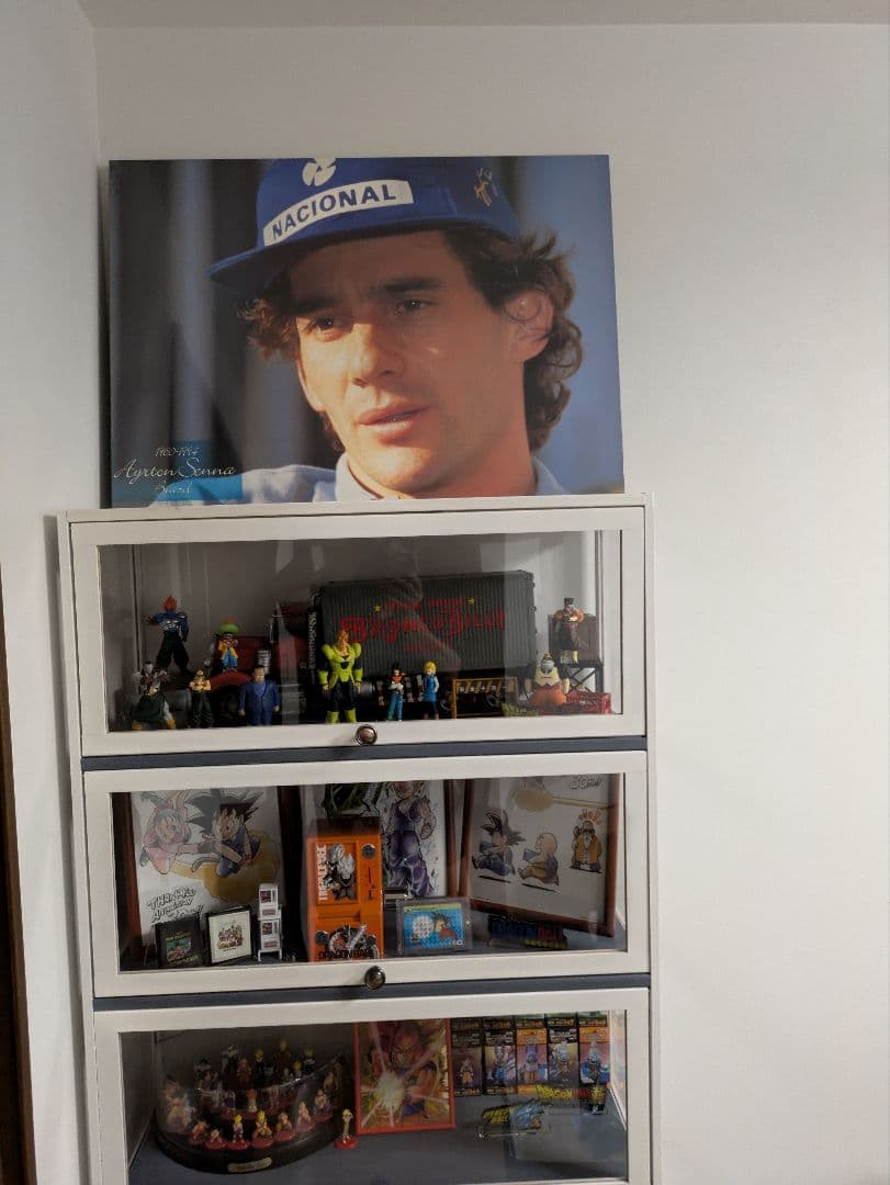 美品 アイルトン・セナ ビックパネルポスター ポスター 送料込 - メルカリ