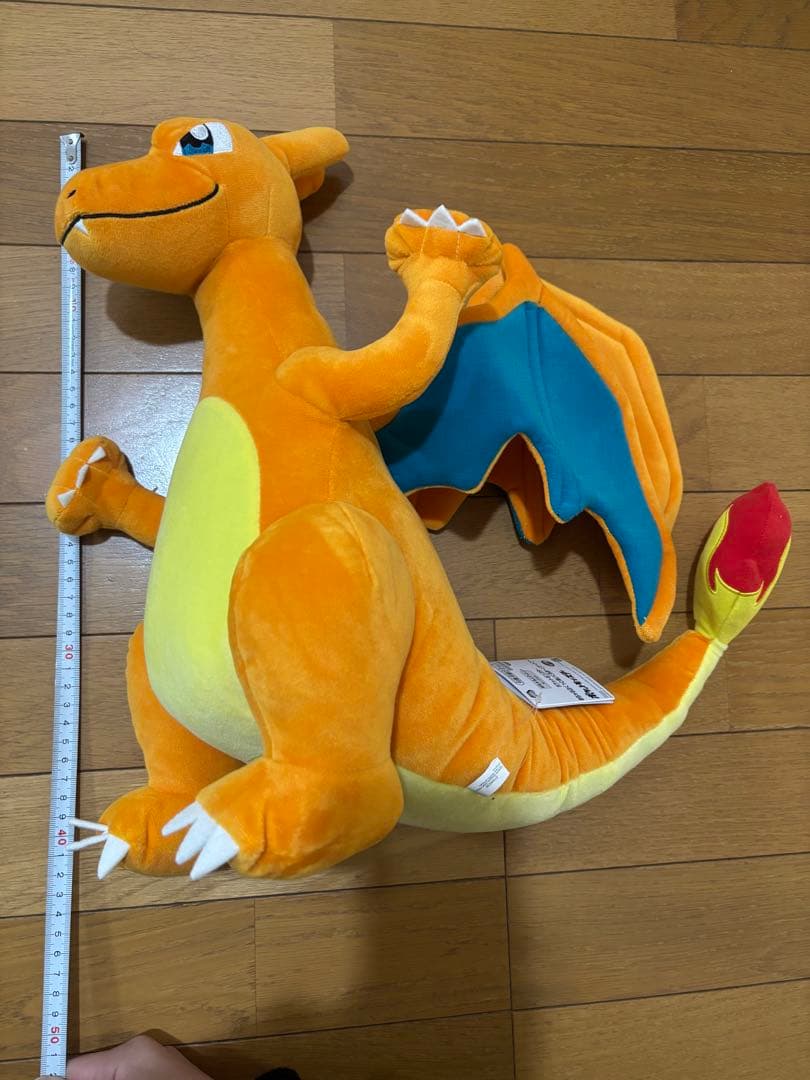 ポケモン ぬいぐるみ BIG リザードン ホゲータ イーブイ など8個セット