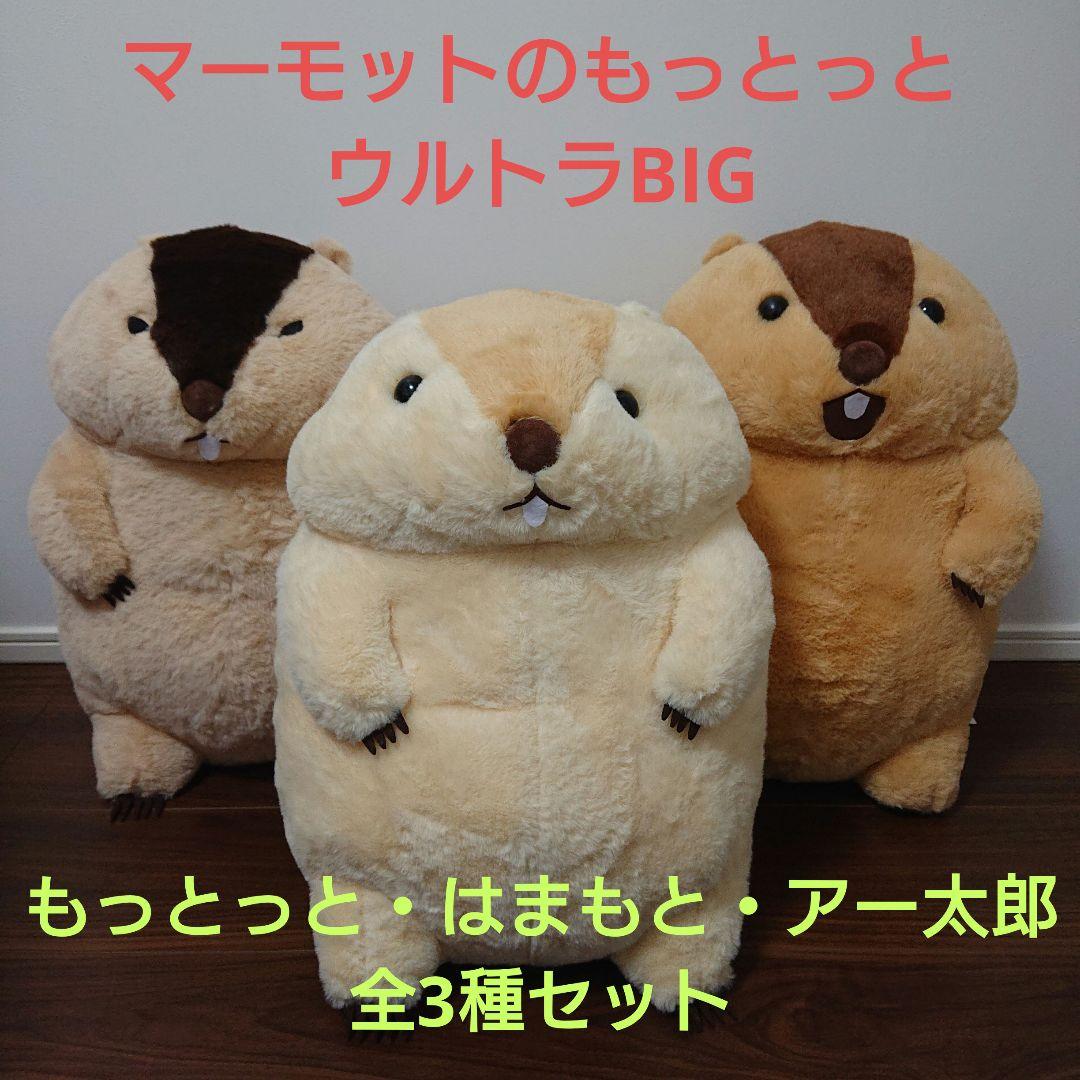 マーモットのもっとっとウルトラBIG もっとっと・はまもと・アー太郎全