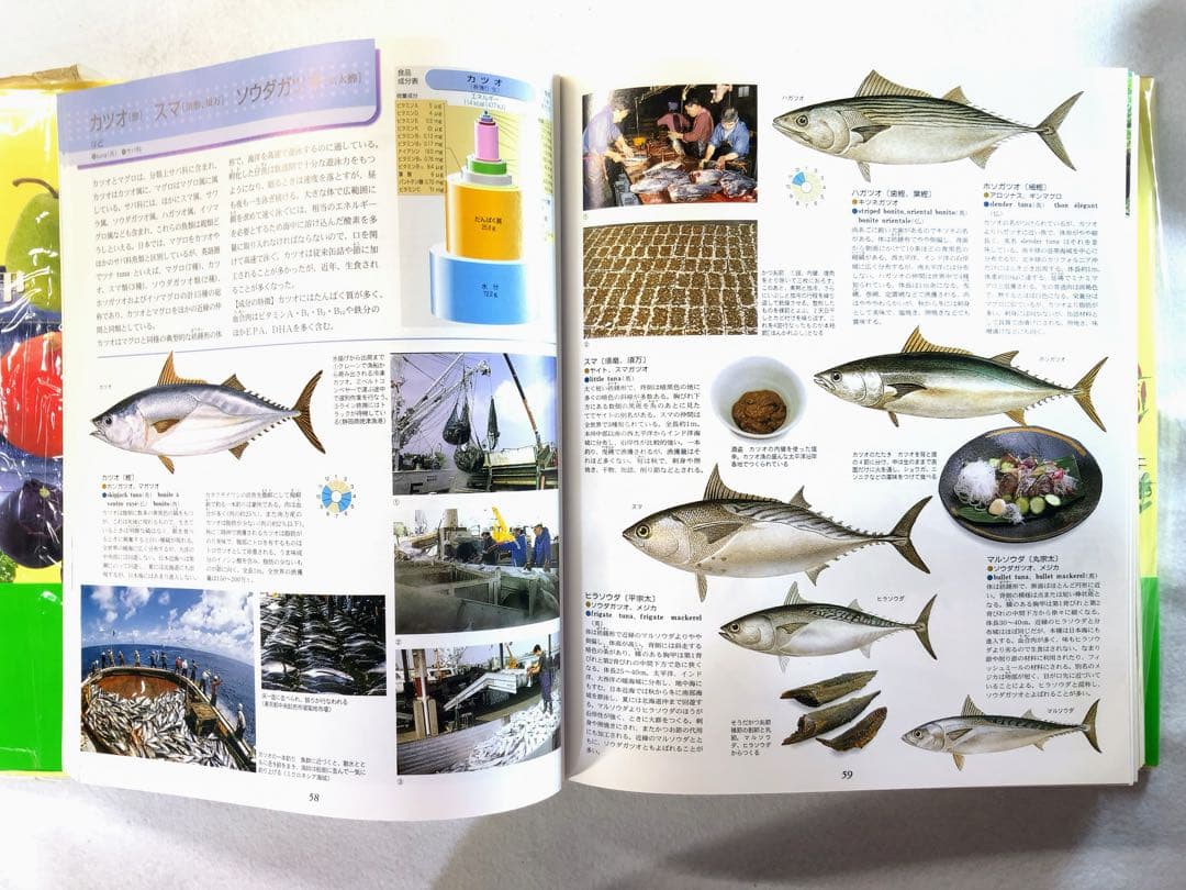 食材図典　1巻2巻　セット