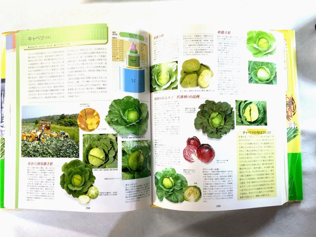 食材図典　1巻2巻　セット