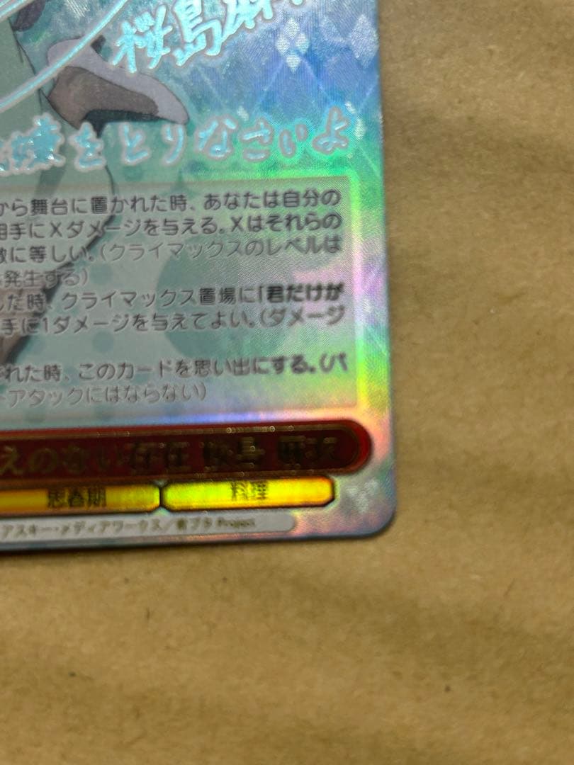 かけがえのない存在 桜島麻衣