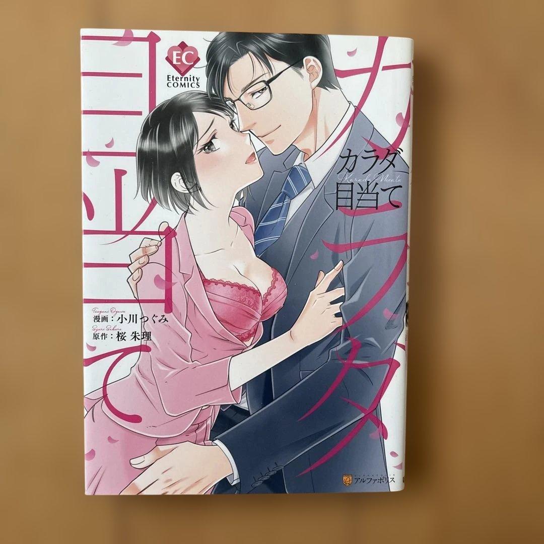 レディコミ 5冊セット - メルカリ