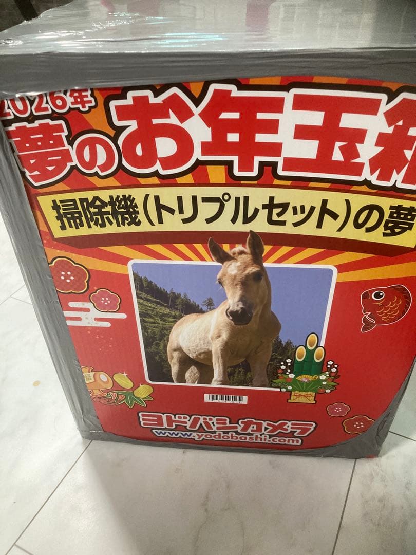 未開封ヨドバシカメラ　2026夢のお年玉箱　掃除機（トリプルセット）福袋 未開封ヨドバシカメラ 2026夢のお年玉箱 掃除機（トリプルセット）福袋