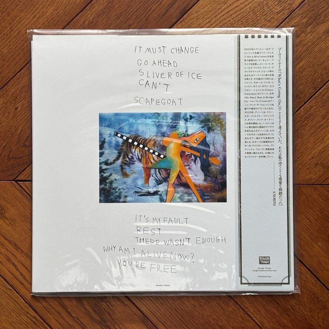 期間限定価格 ANOHNI and the Johnsons BIG LOVE盤 レコード XU1169007379