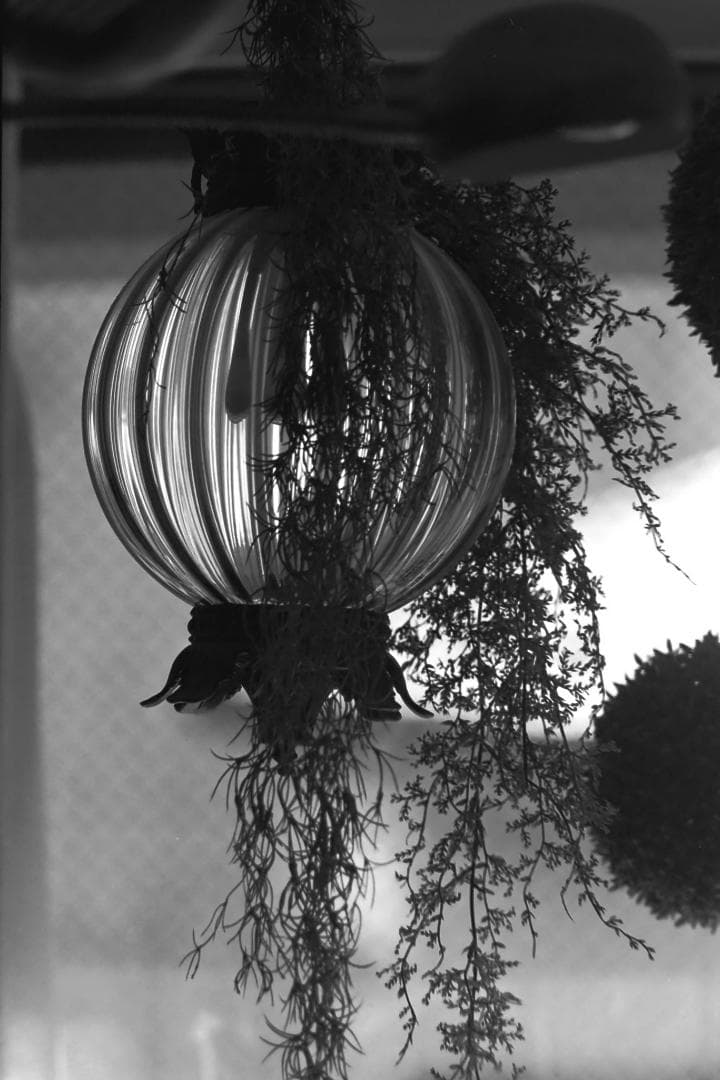 Leica Visoflexはじめるセット！ライカのカメラとオールドレンズ一式