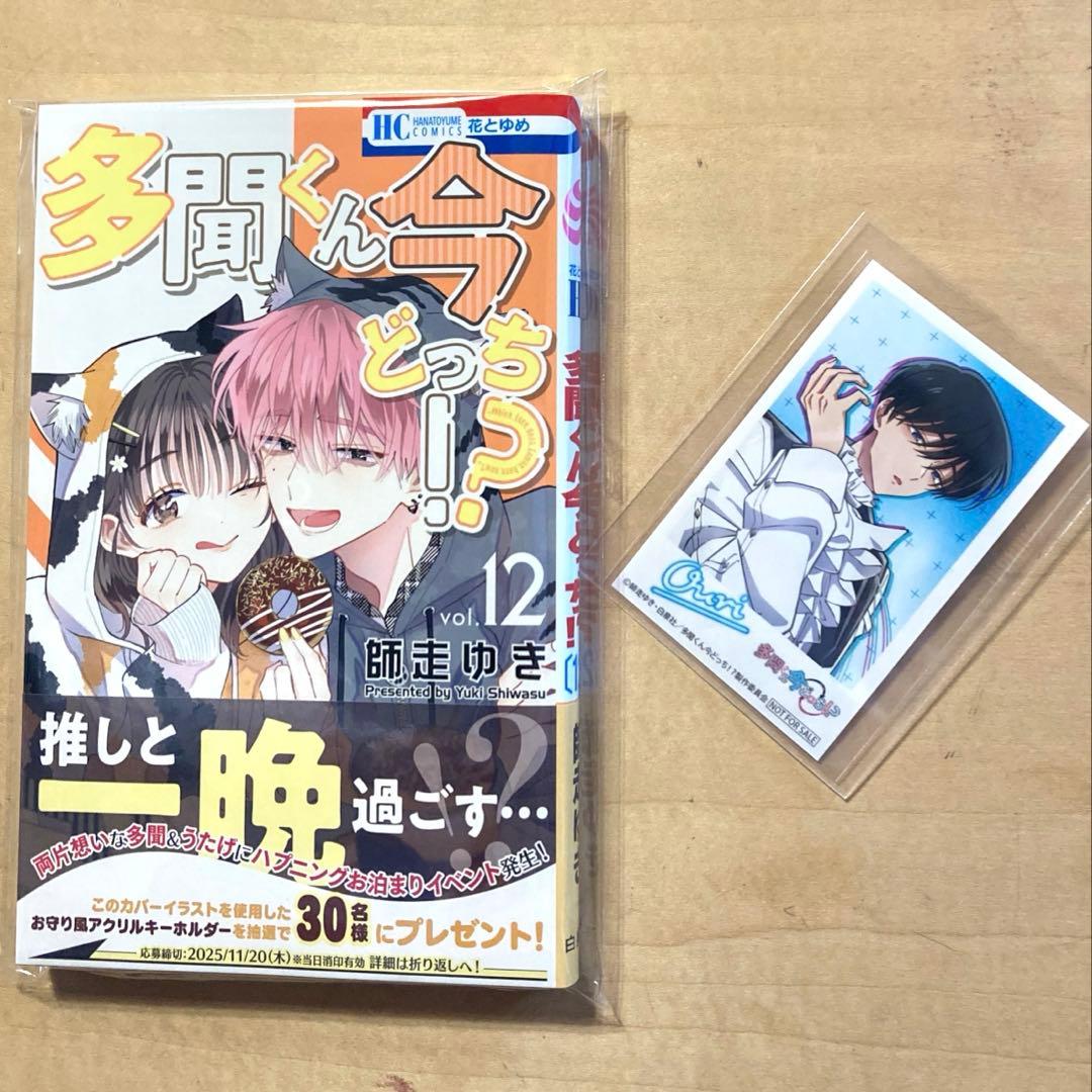 多聞くん今どっち !? コミック 12巻 坂口桜利 ミニフォト 特典 応募券