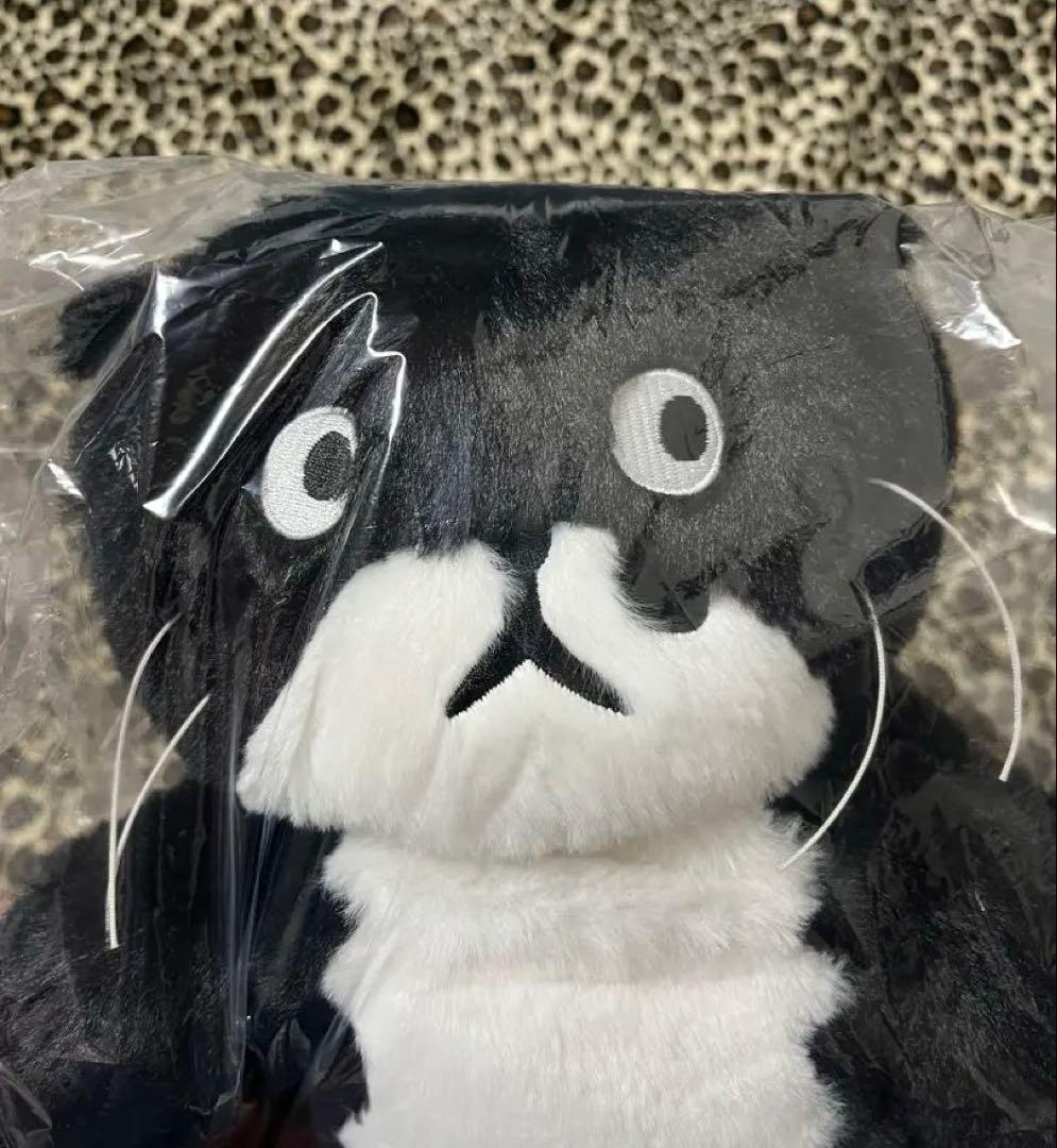 値引可アフタヌーンティー チェ・ヨンジュ 猫のモーぬいぐるみ新品未