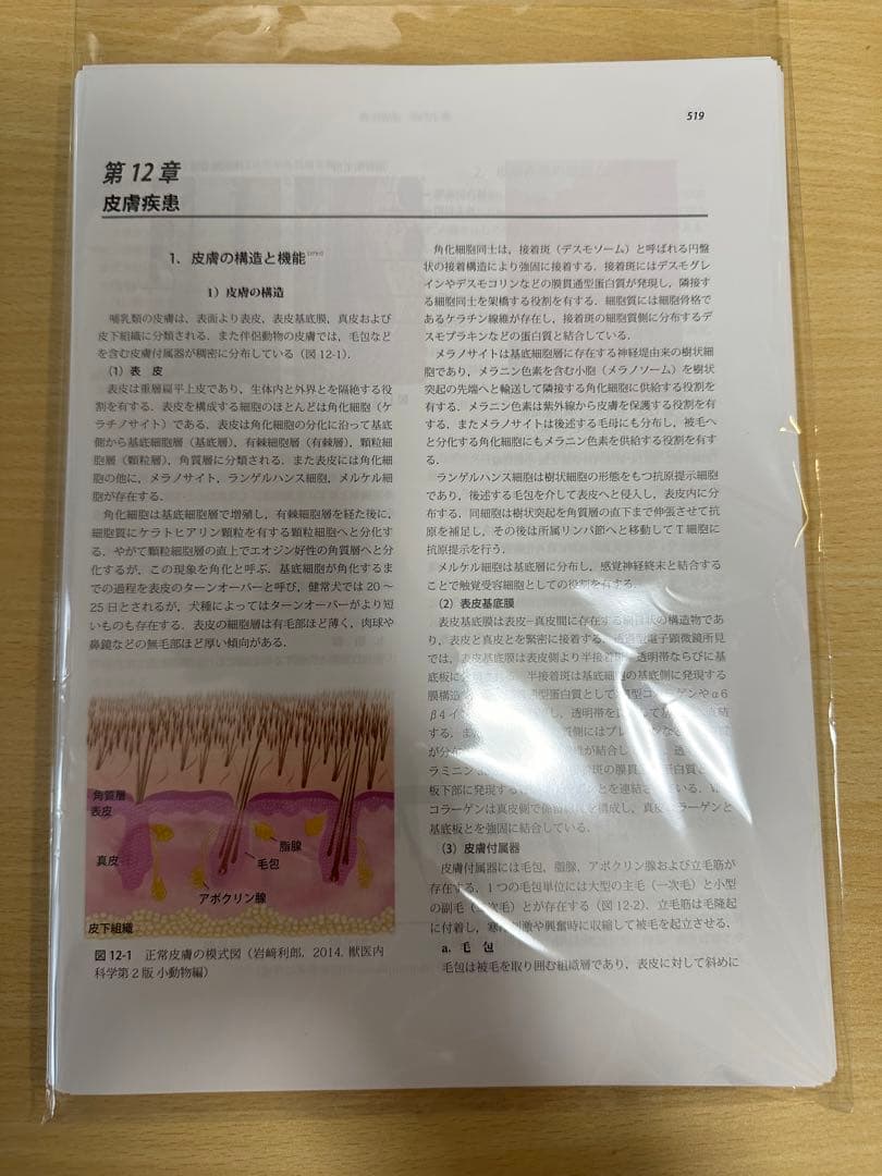 裁断済 獣医内科学第3版 伴侶動物編