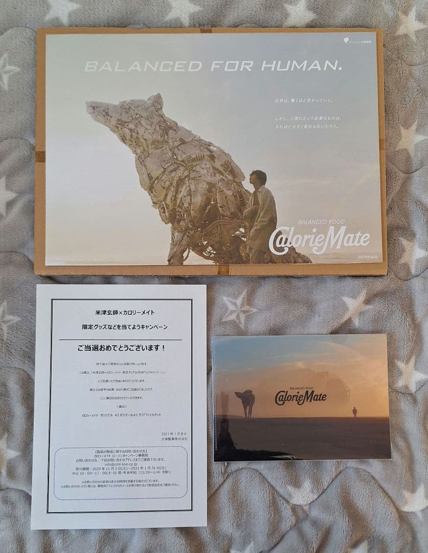 米津玄師 カロリーメイト キャンペーン ポスター クリアファイル