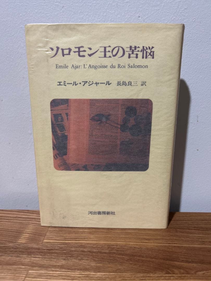 ソロモン王の苦悩 　エミール アジャール (著), 長島 良三 (翻訳) ソロモン王の苦悩 エミール アジャール 著 長島 良三 訳 - メルカリ