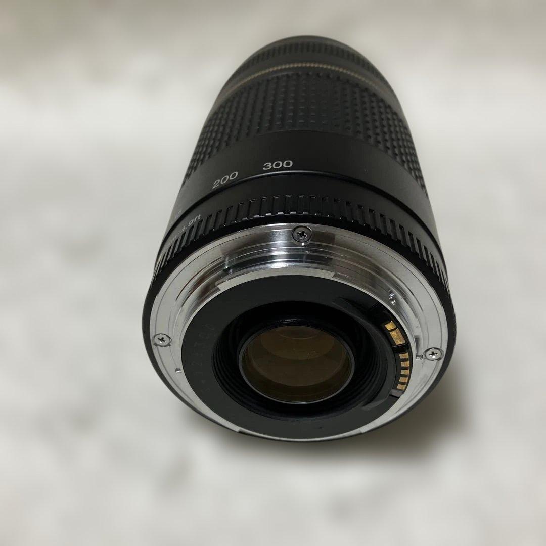 【美品】Canon EF 75-300mm F/4-5.6 Ⅱ