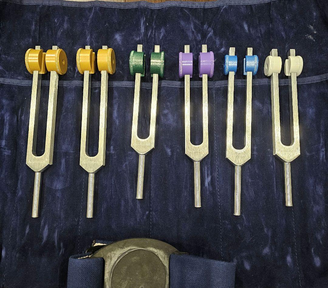 音叉 ヒーリング アキュトニクス アースムーンプロセット 2026年最新】アキュトニックスの人気アイテム - メルカリ