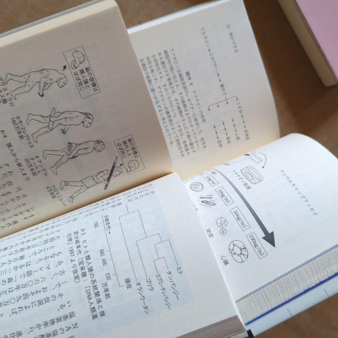ブルーバックス記憶力を強くする 脳科学 遺伝子 分子生物学 犯罪捜査