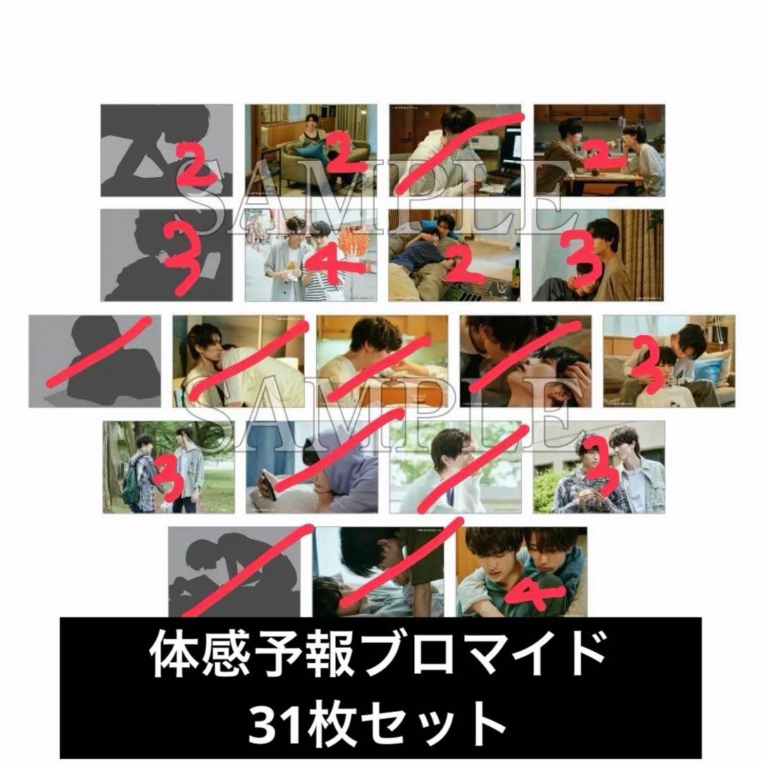 ドラマ体感予報 ランダムブロマイド 31枚セット せがだよ - メルカリ