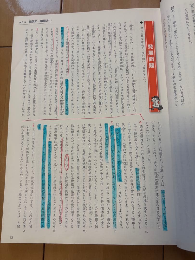 難関校受験対策】小6 四谷大塚 予習シリーズ 早稲アカ4教科セット