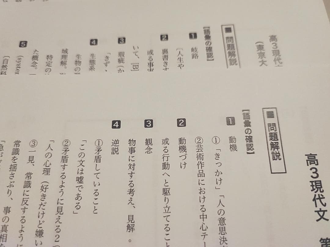 鉄緑会の24年高3現代文ハンドアウト現代文の要点フルセット 駿台