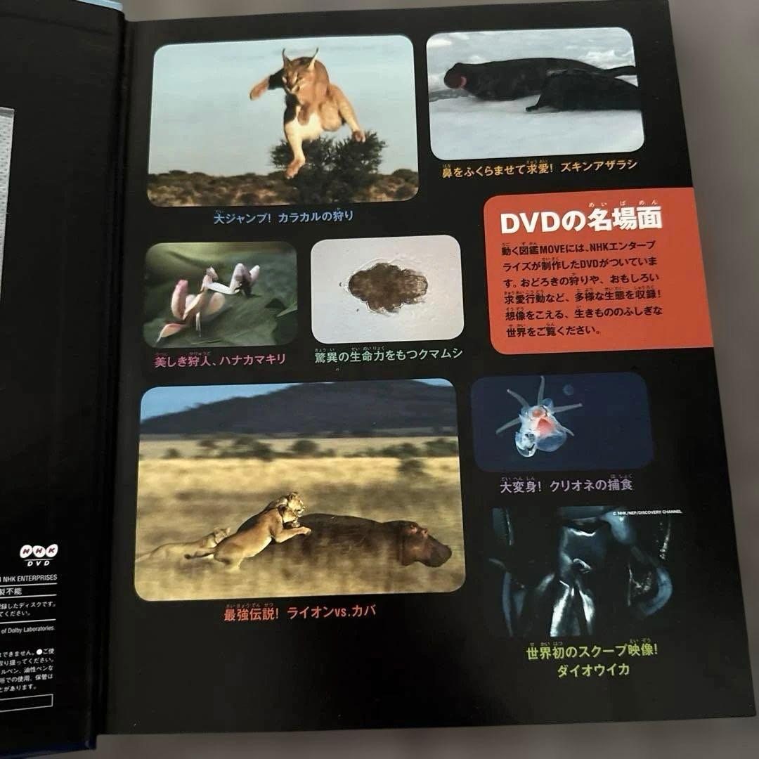 DVD付き未使用】MOVE生きもののふしぎ 講談社の動く図鑑 - メルカリ