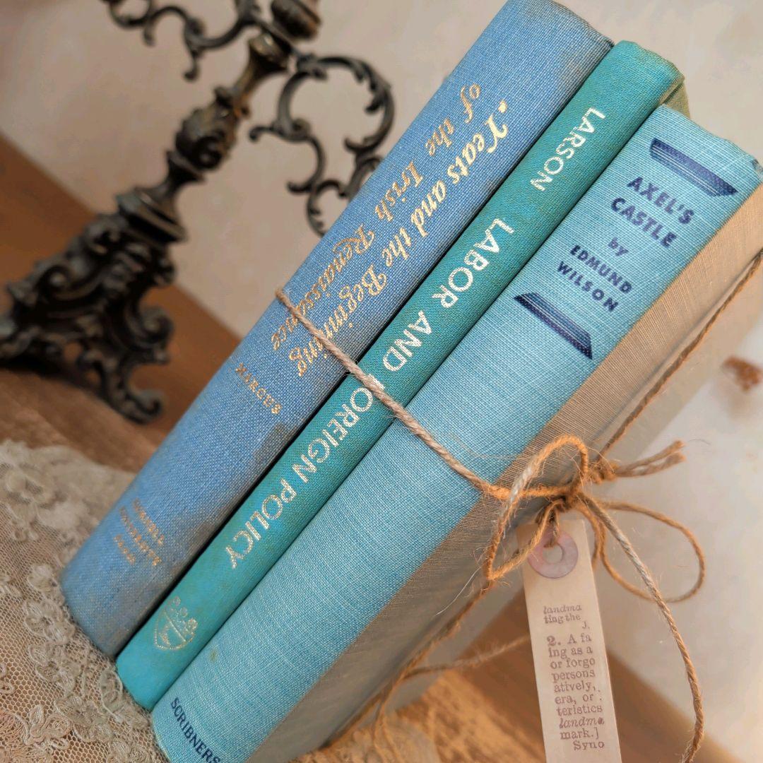 B989 お洒落な組み合わせ ヴィンテージ 洋書 ディスプレイ インテリア