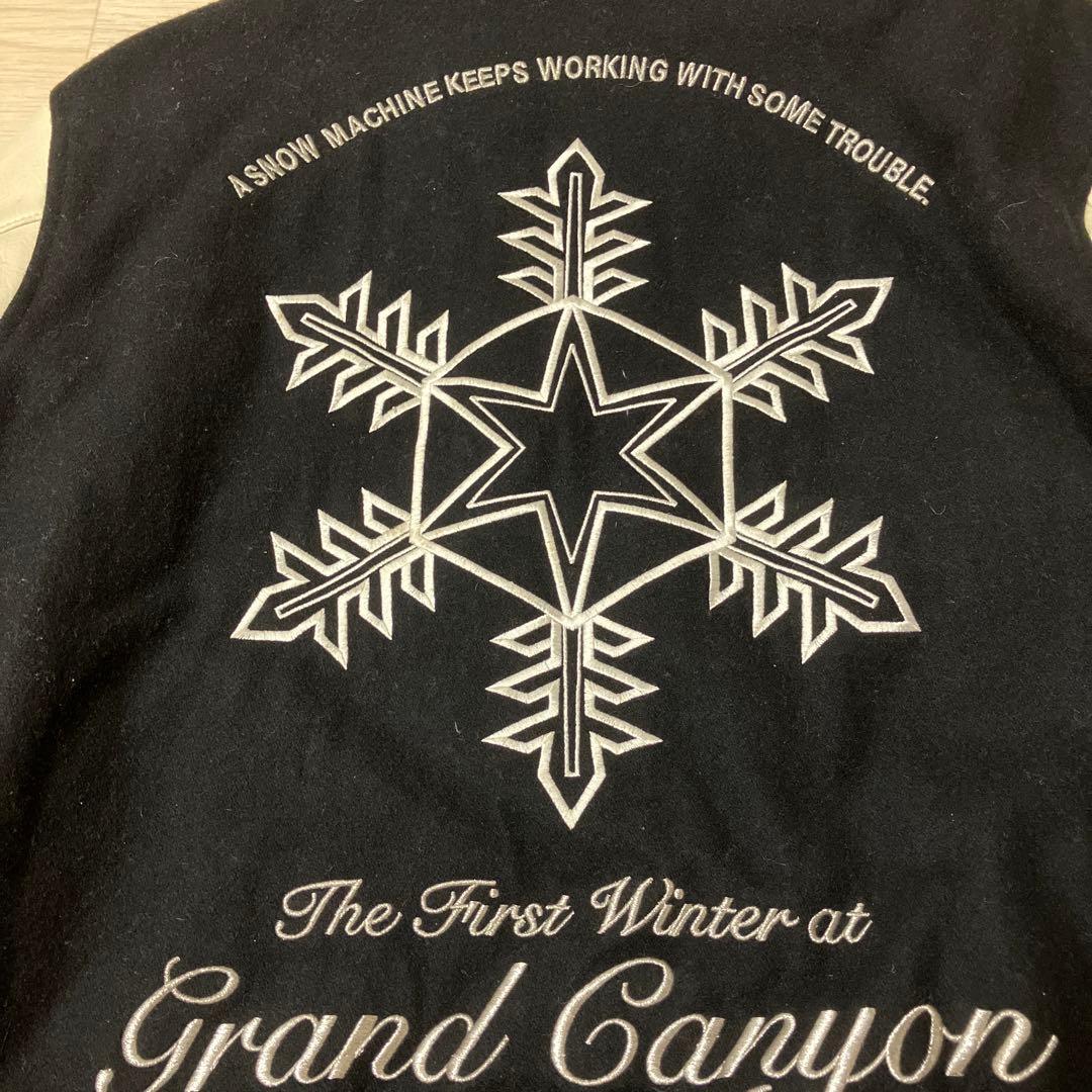 GDC グランドキャニオンスタジャン 雪柄 - メルカリ