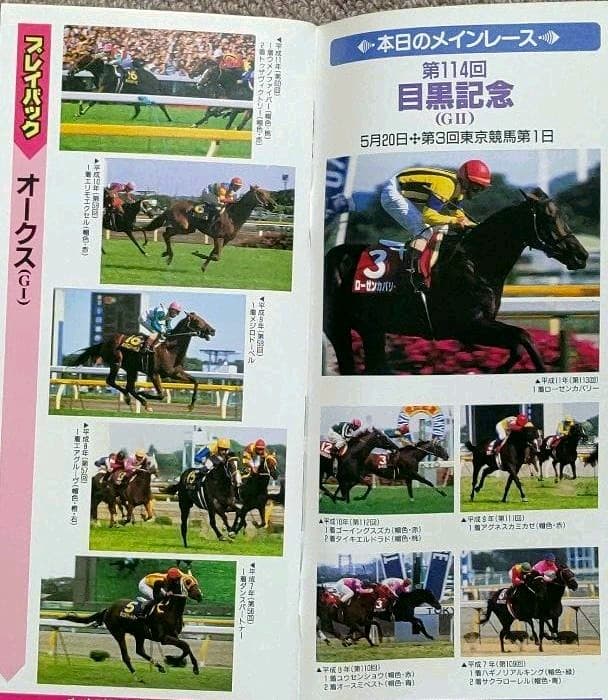 第114回目黒記念 勝馬ステイゴールド単勝馬券・レープロ・カードセット