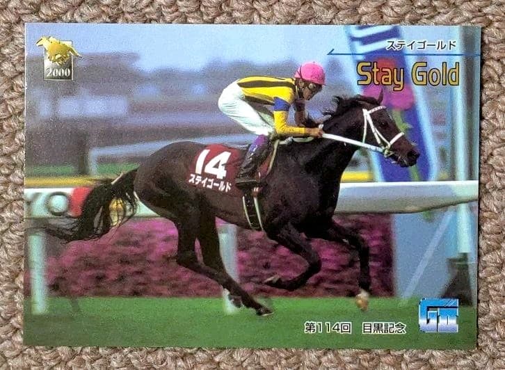 第114回目黒記念 勝馬ステイゴールド単勝馬券・レープロ・カードセット