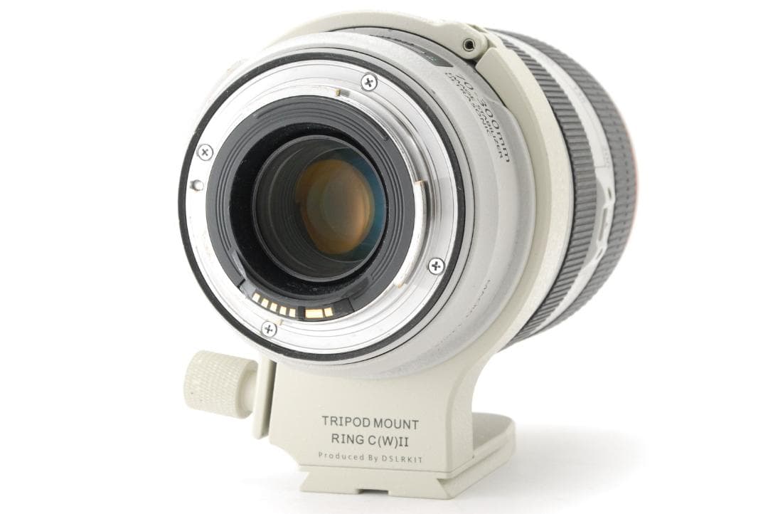 キヤノン Canon EF 70-300mm F4.5-5.6 L USM