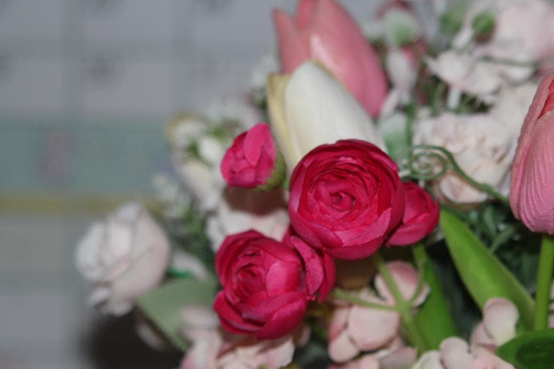 キヤノン EF28-105mm F3.5-4.5 マクロ USMズームレンズ