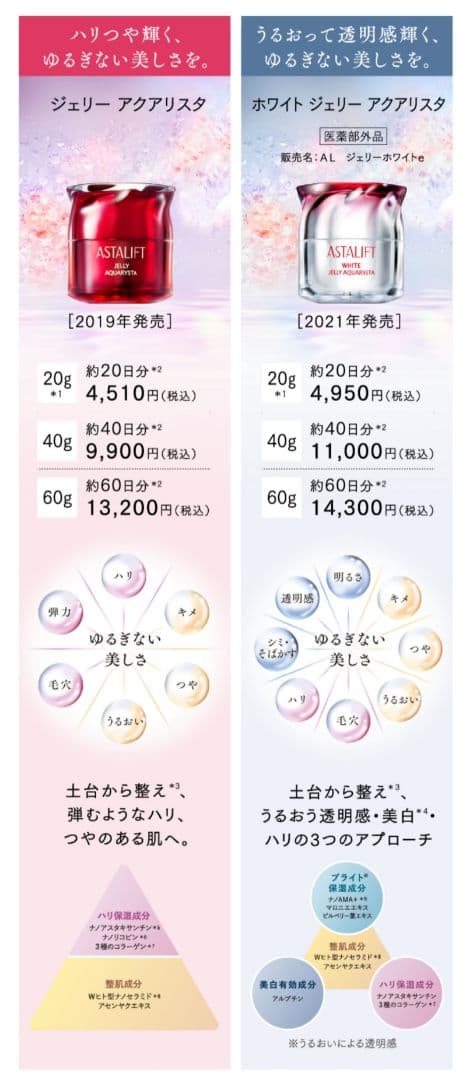 《アスタリフト》ジェリー アクアリスタ BIGサイズ(60g)