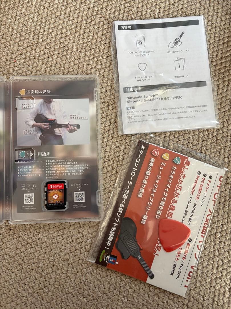 美品 Switch GUITAR LIFE -LESSON1- エレキ天国