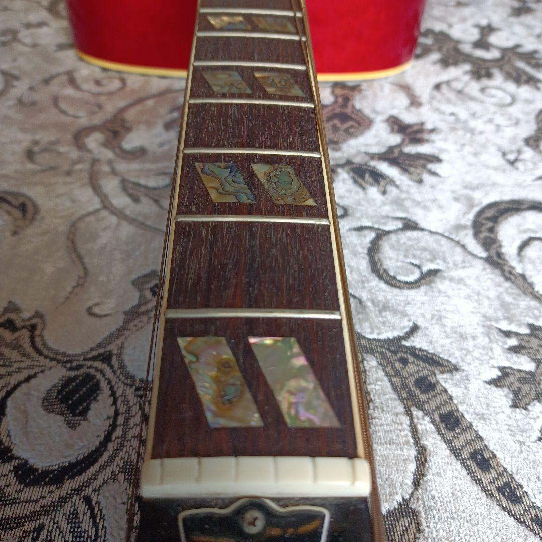 DOVEダヴモデル Burny BD-85 バーニー フェルナンデス 百瀬さん - メルカリ