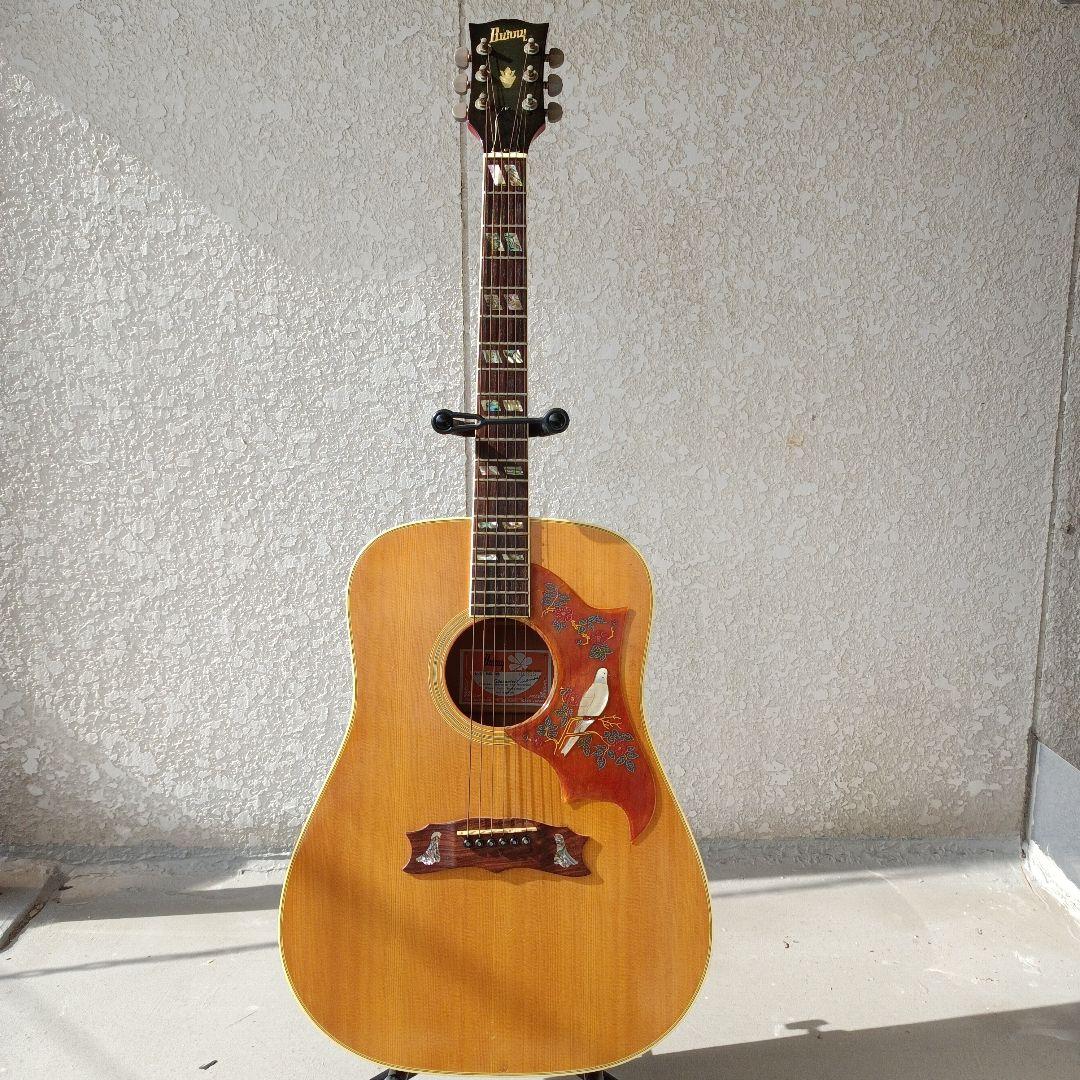 DOVEダヴモデル Burny BD-85 バーニー フェルナンデス 百瀬さん - メルカリ