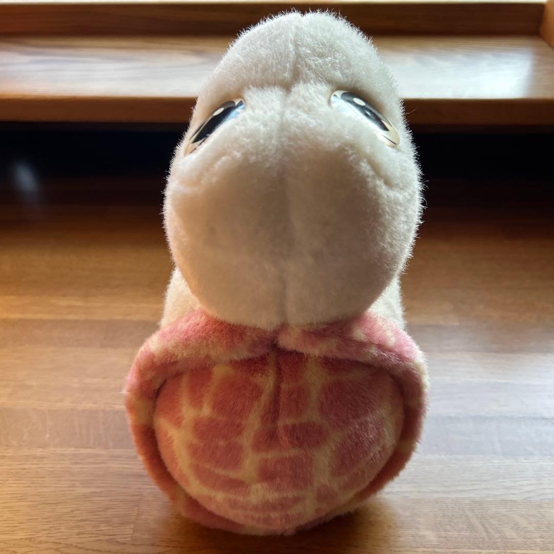 シーガイア☆カメのぬいぐるみ - メルカリ