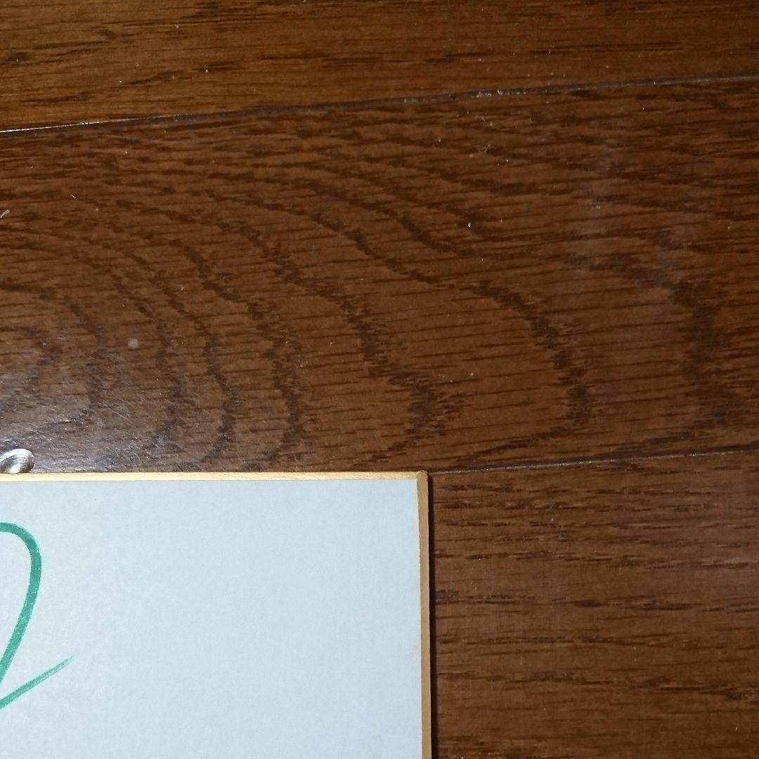 超時空要塞マクロスII -LOVERS AGAIN-　直筆寄せ書きサイン色紙