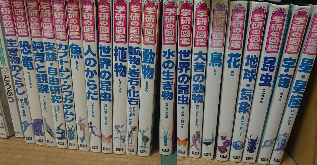 学研の図鑑シリーズ 20冊セット ずかんセット）学研の図鑑 LIVE 新版 10冊セット : 梅田 蔦屋書店
