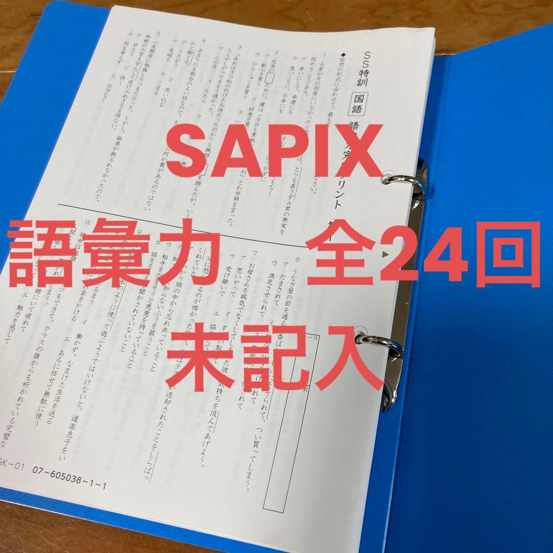 SAPIX サピックス 語彙力完成プリント 2023年度 - メルカリ