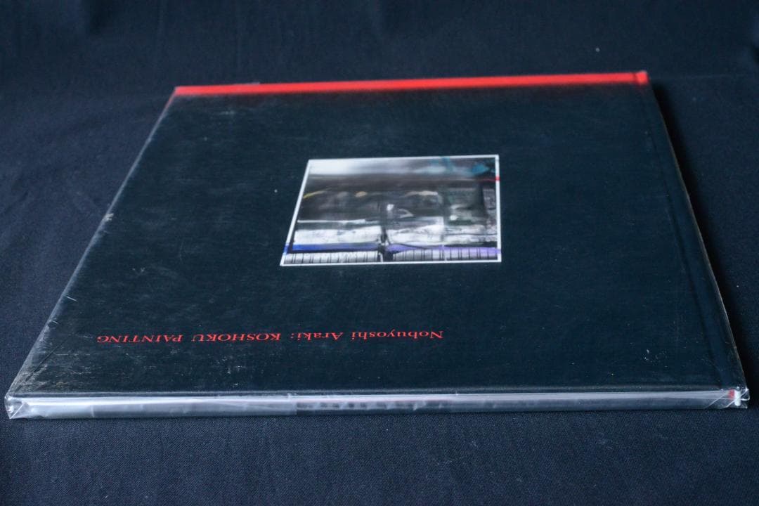 荒木経惟： Koshoku Painting】 大幅に値下げしました - メルカリ