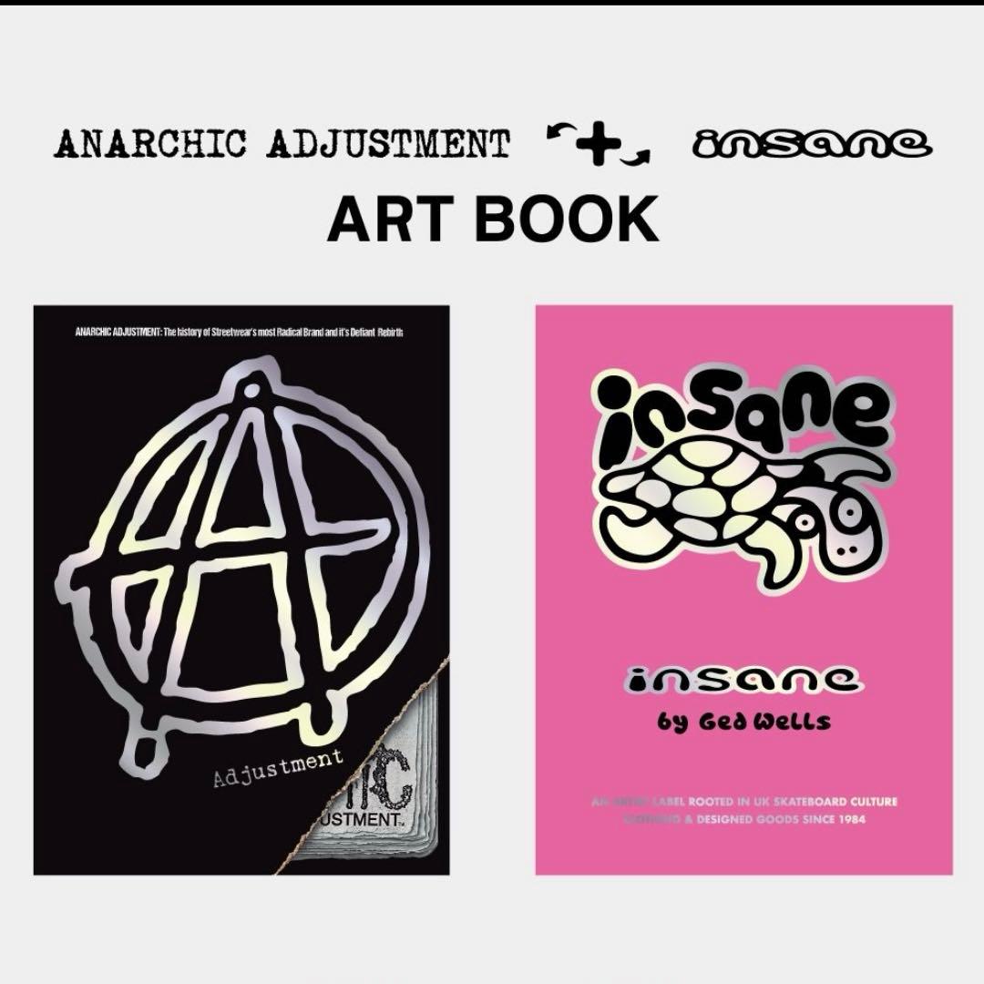 insane × ANARCHIC ADJUSTMENT アートブック新品 BEAMS T（ビームスT）insane × ANARCHIC ADJUSTMENT / ART BOOK（音楽