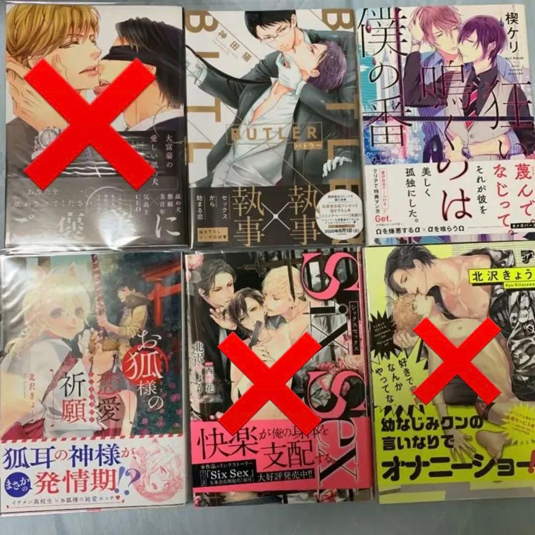 BL 漫画 26冊セット