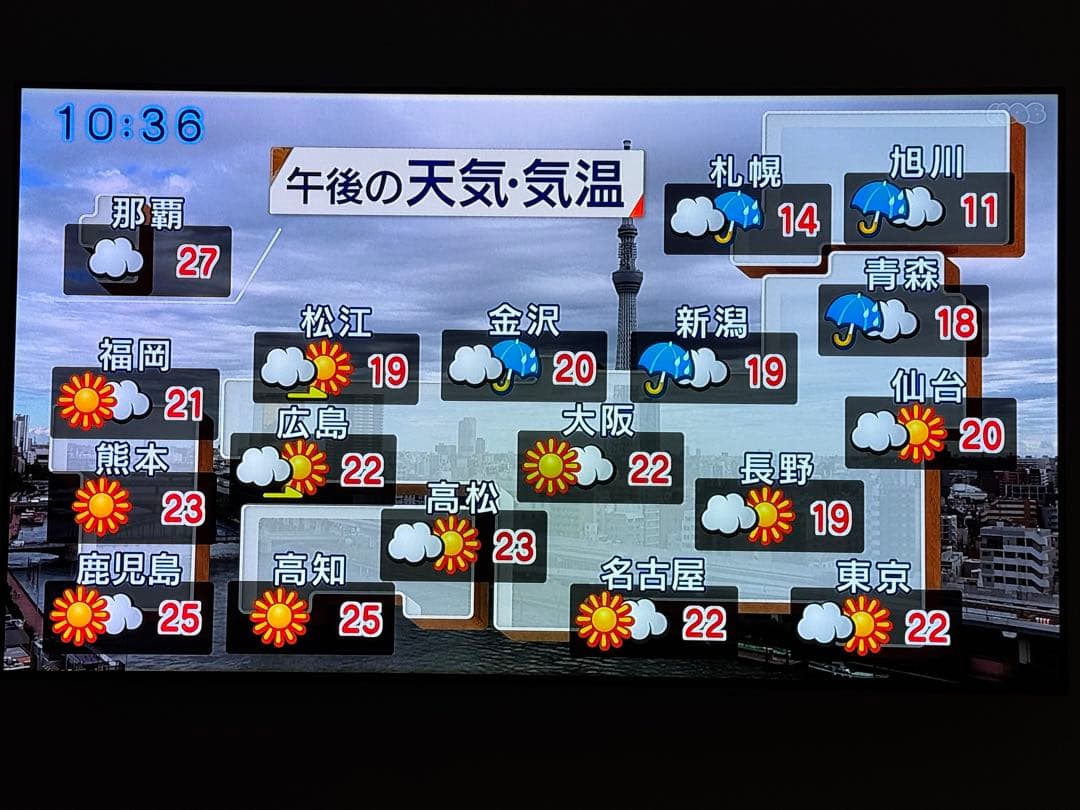 《たかさん》LG 有機ELテレビ　65インチ　ジャンク