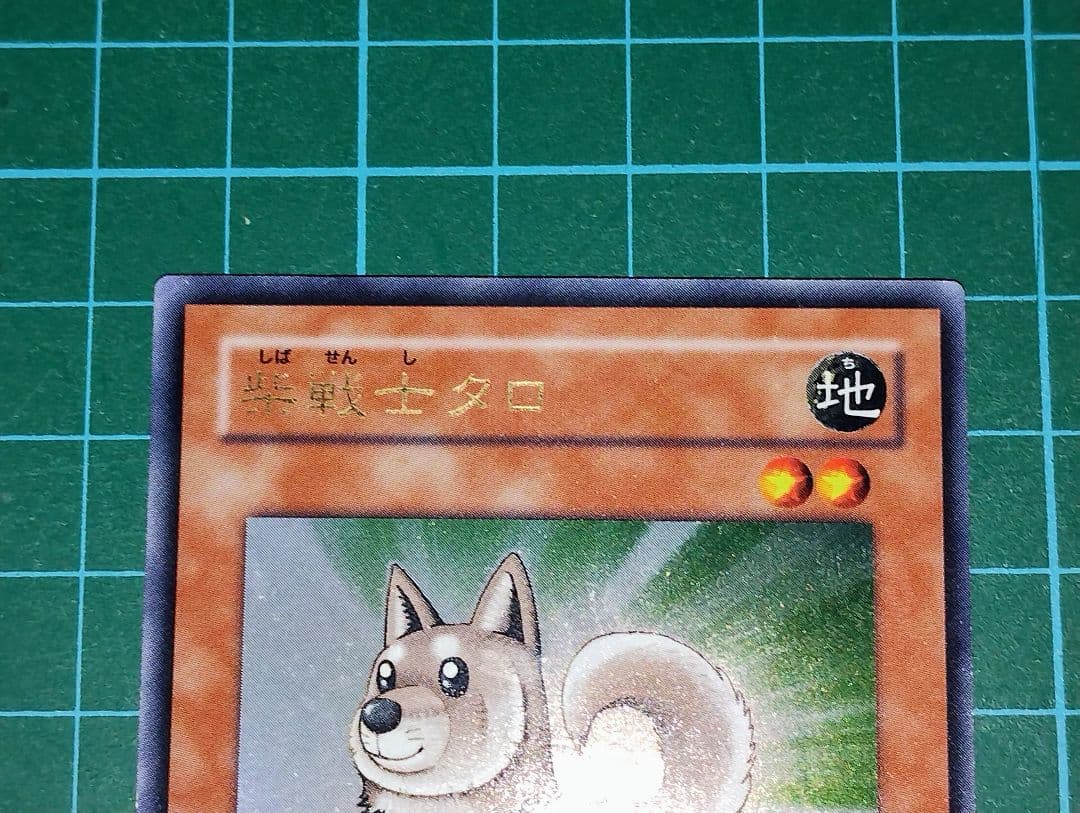 Amazon.co.jp: 【激レア！？】遊戯王 エラーカード 柴戦士タロ