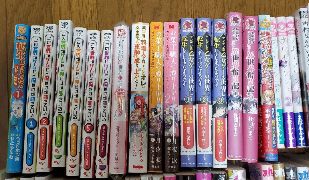 異世界系漫画BL漫画GL百合漫画少女漫画小説など112冊セットまとめ