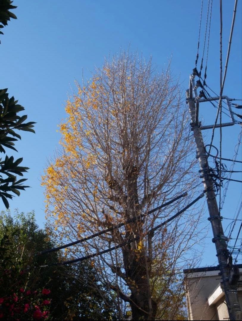 【訳あり】LUMIX G VARIO 14-140mm F3.5-5.6 Ⅱ型