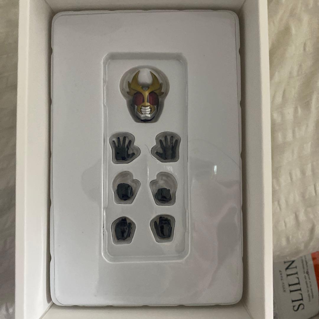 真骨彫製法　S.H.Figuarts　仮面ライダーアギト