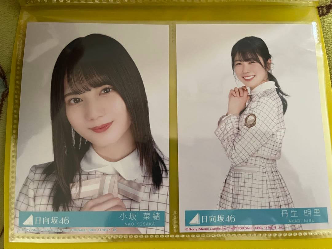日向坂46 君しか勝たんCD ブロマイド 日向撮シール - メルカリ
