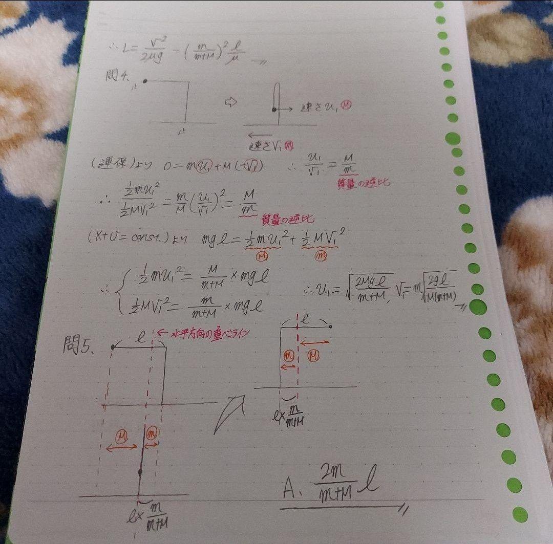 《個別売可！》駿台予備学校 ～夏期・冬期・直前期講習～ 【大阪大学(阪大)編】
