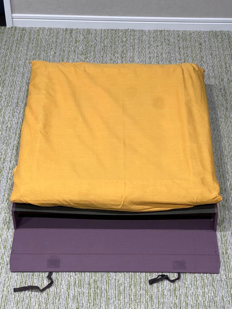 朝日　井出信道　油彩画 金色フレーム付き