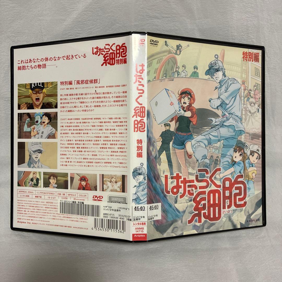はたらく細胞 特別編【レンタル落ちDVD】 - メルカリ